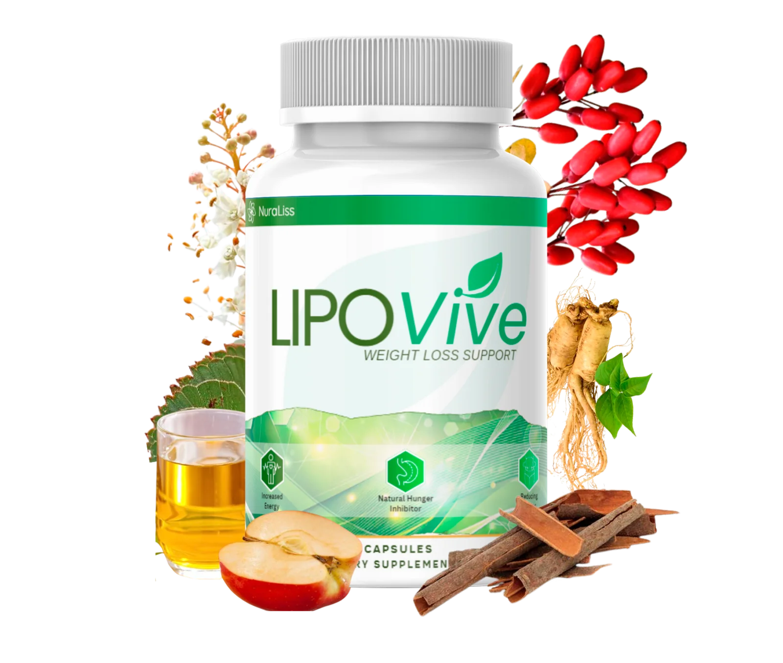 LipoVive Ingredients